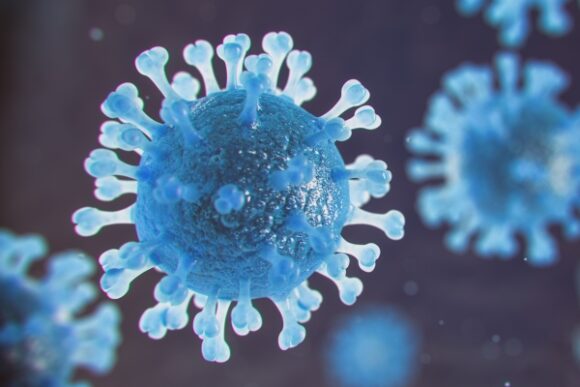 Odor-sensing cells in nose seen as key entry point for SARS-CoV-2