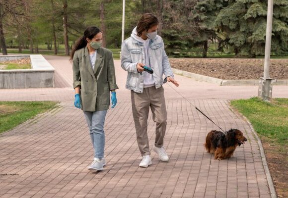 COVID-19 i zwierzęta