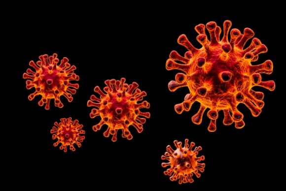 Choroba koronawirusa 2019 (COVID-19)