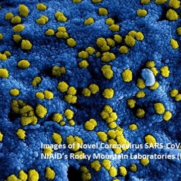 Nowe obrazy koronawirusa SARS-CoV-2